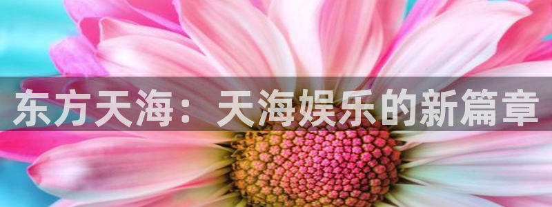 南宫大舞台官网入口