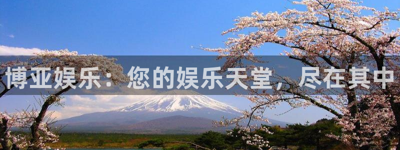 南宫大舞台官网入口