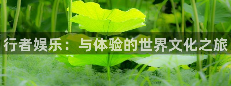 NG大舞台