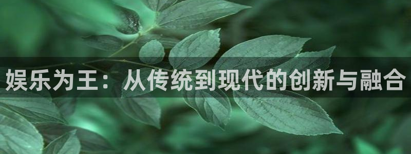 南宫大舞台官网入口