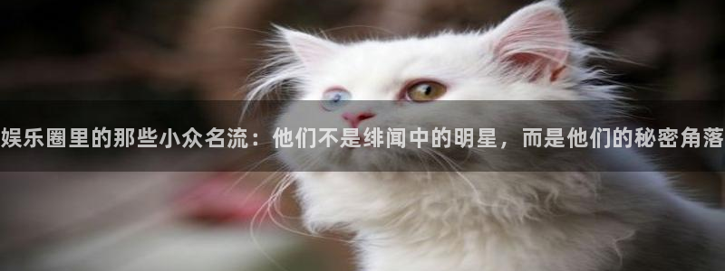 南宫大舞台官网入口